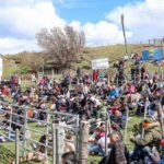 photo 2025 11 02 18 37 33 (2)