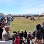 photo 2025 11 10 14 44 55