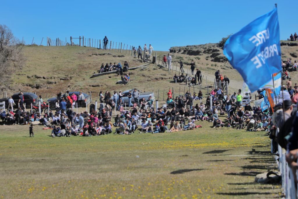 photo 2025 11 10 14 44 57 (2)