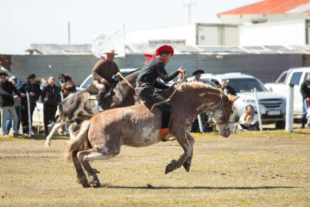 photo 2025 11 10 14 44 59 (2)