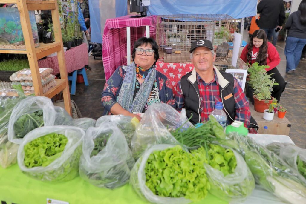 photo 2025 11 10 14 45 00