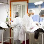 photo 2025 11 11 11 40 58