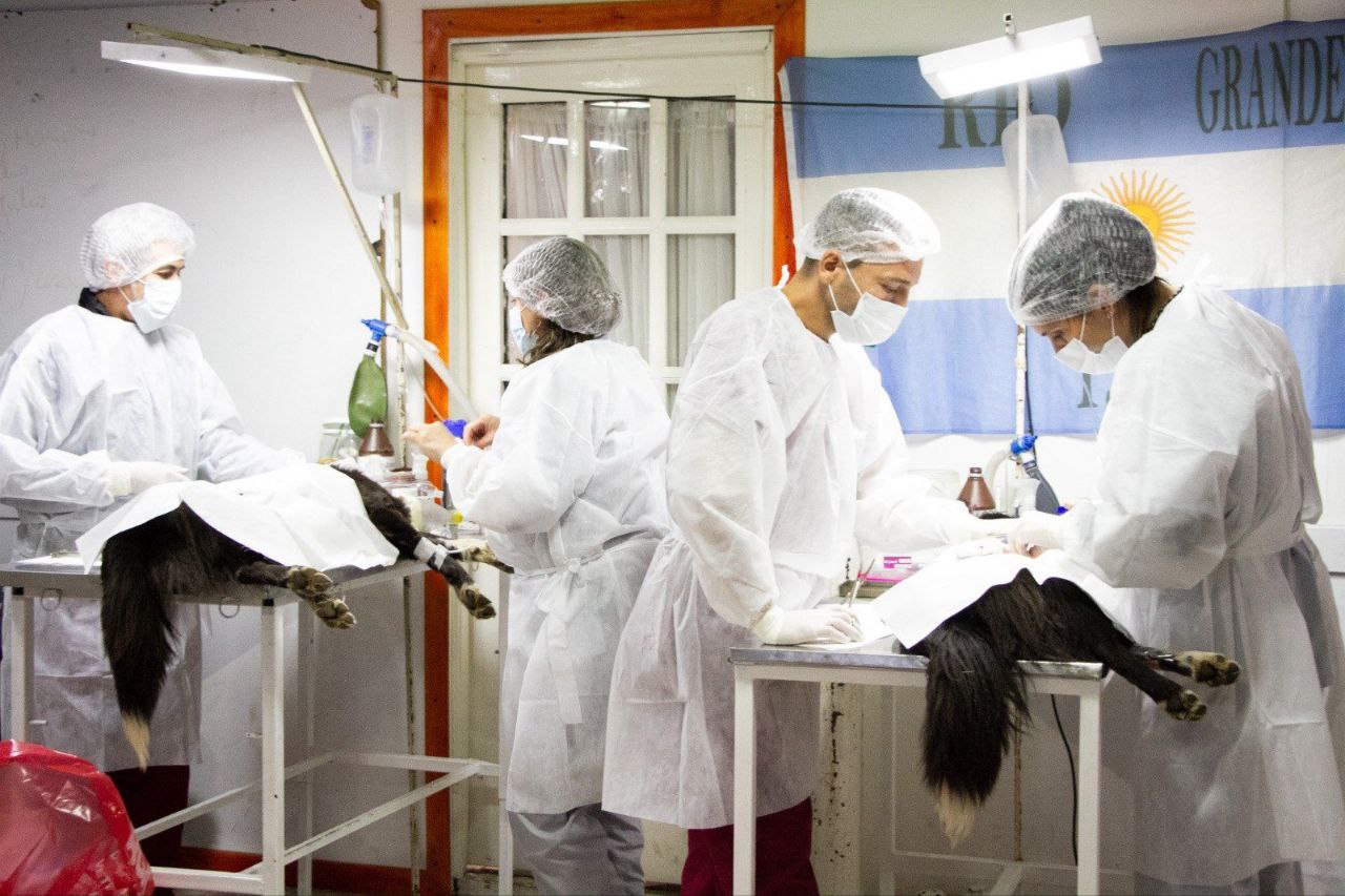 photo 2025 11 11 11 40 58