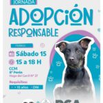 photo 2025 11 15 12 02 55