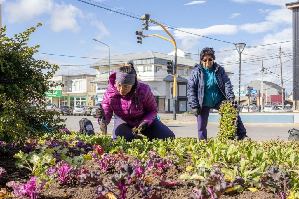 photo 2025 11 29 13 11 34 (2)