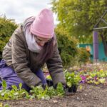 photo 2025 11 29 13 11 35