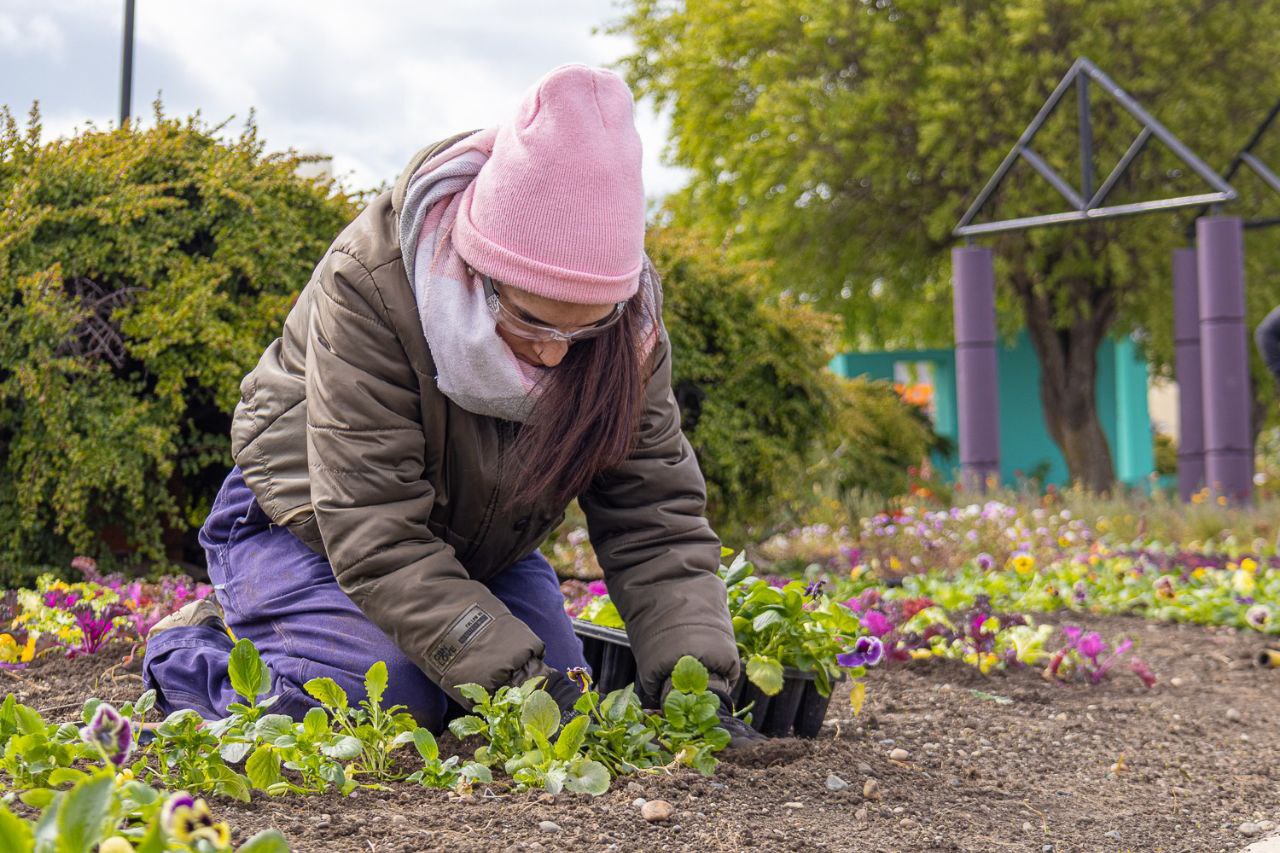 Río Grande más colorida: Continúan las tareas de embellecimiento en la ciudad