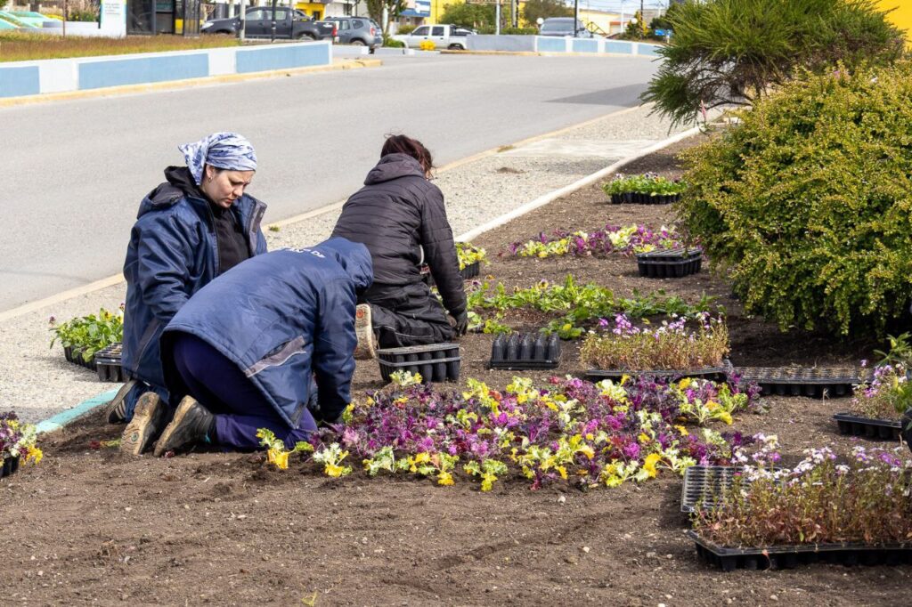 photo 2025 11 29 13 11 36