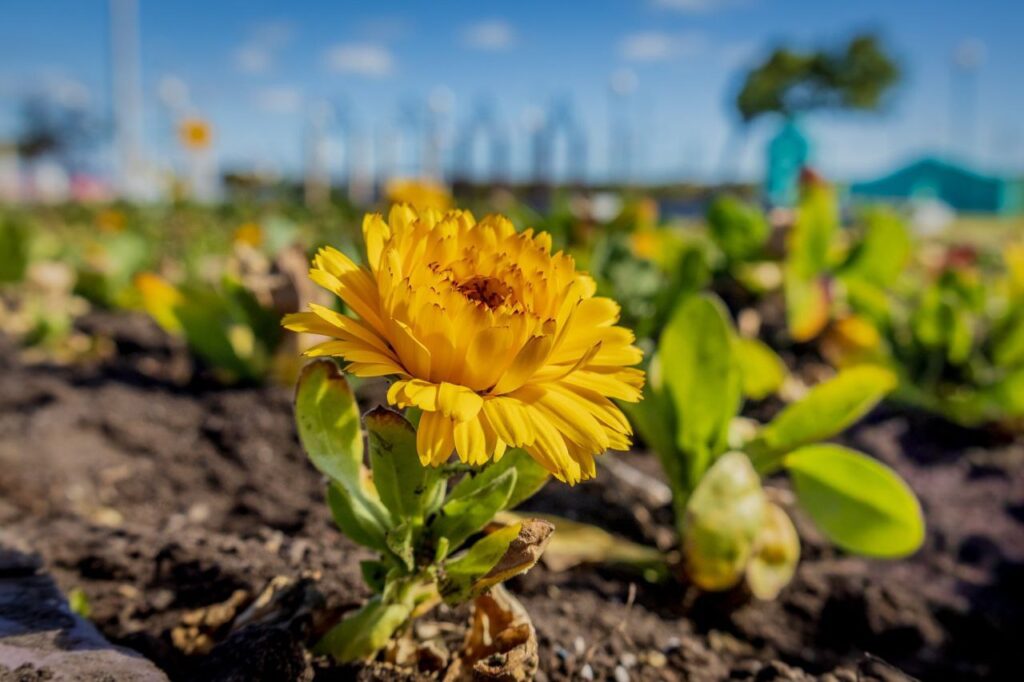 photo 2025 11 29 13 11 37