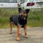 photo 2025 12 13 16 09 07 (2)