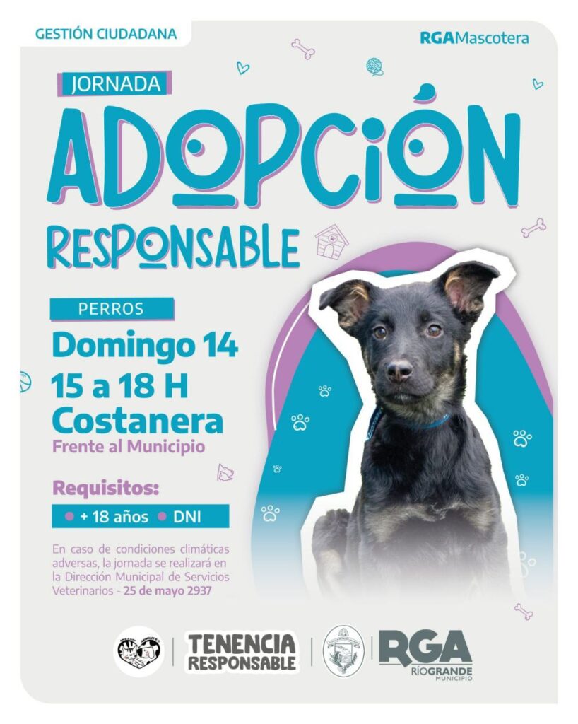 photo 2025 12 13 16 09 08