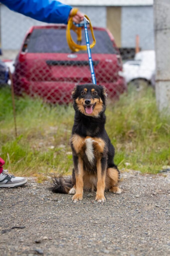 photo 2025 12 13 16 09 10