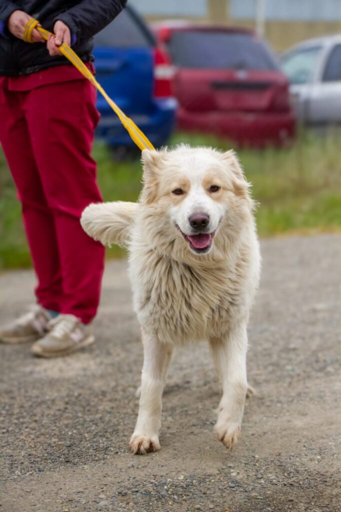 photo 2025 12 13 16 09 11