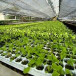 photo 2025 12 15 11 50 09