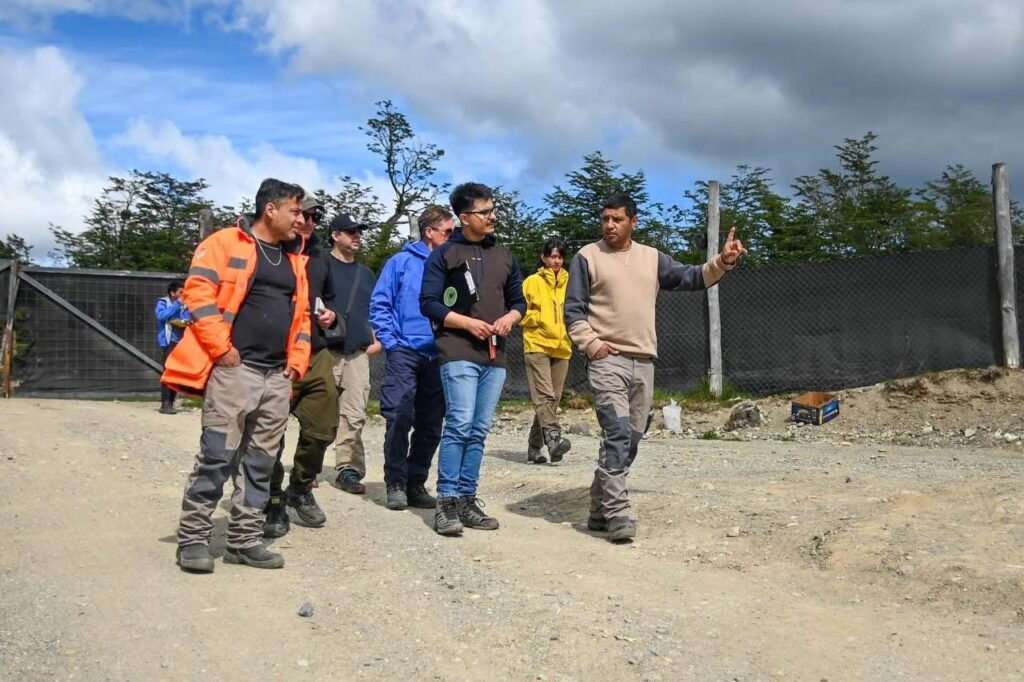 photo 2025 12 18 18 25 25 (2)