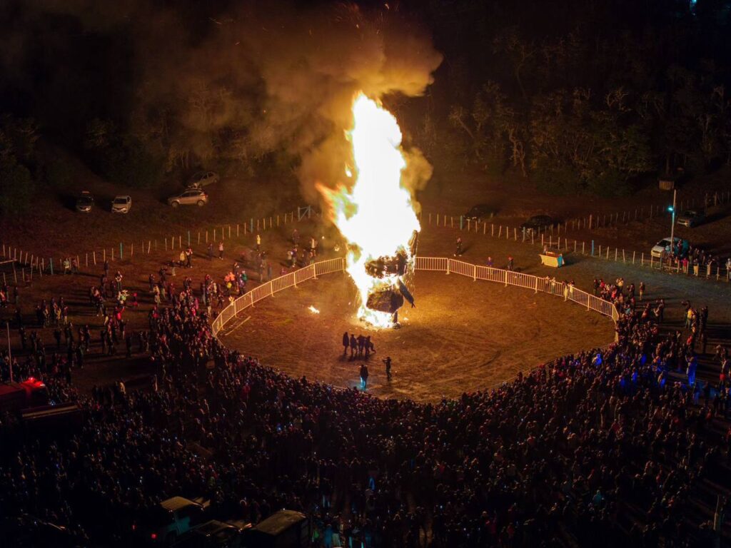 photo 2026 01 01 22 04 17