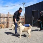 photo 2026 01 08 20 00 10