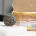 photo 2026 01 10 12 41 29