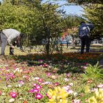 photo 2026 01 15 21 50 20