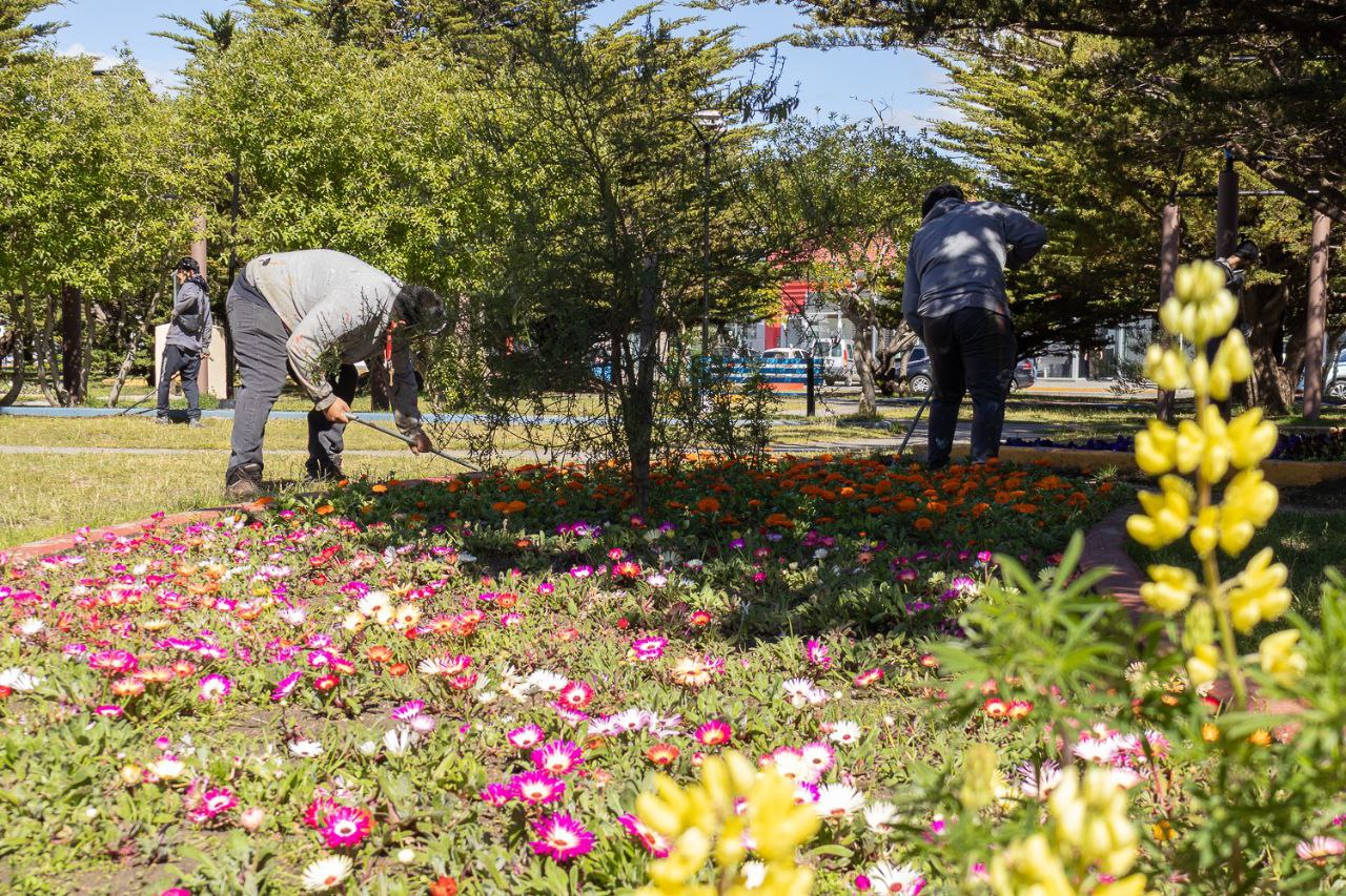 photo 2026 01 15 21 50 20