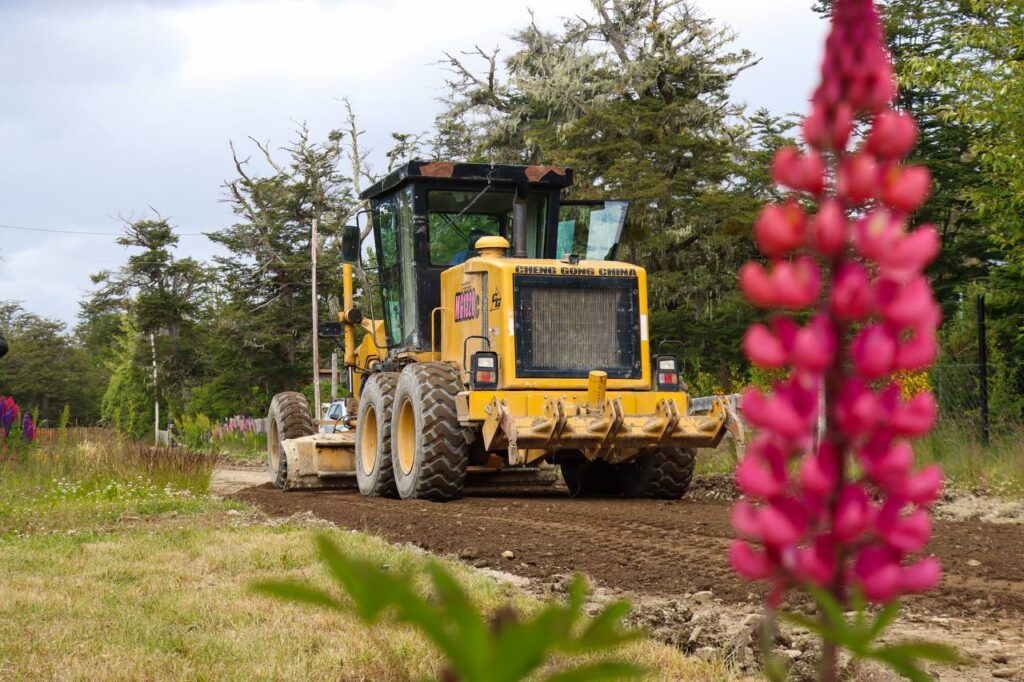 photo 2026 01 16 18 17 32 (2)