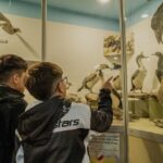 photo 2026 01 18 21 41 20