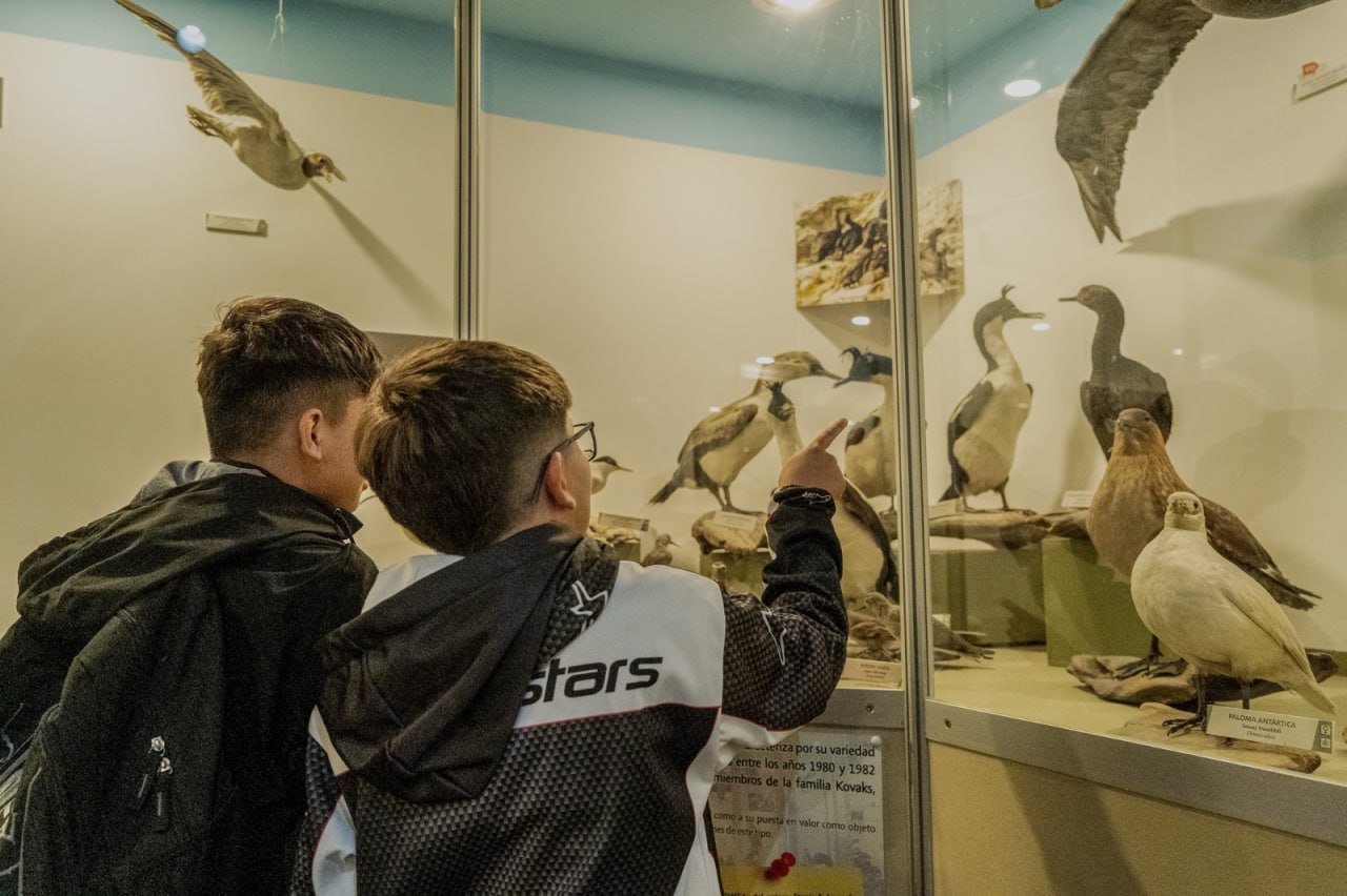 photo 2026 01 18 21 41 20