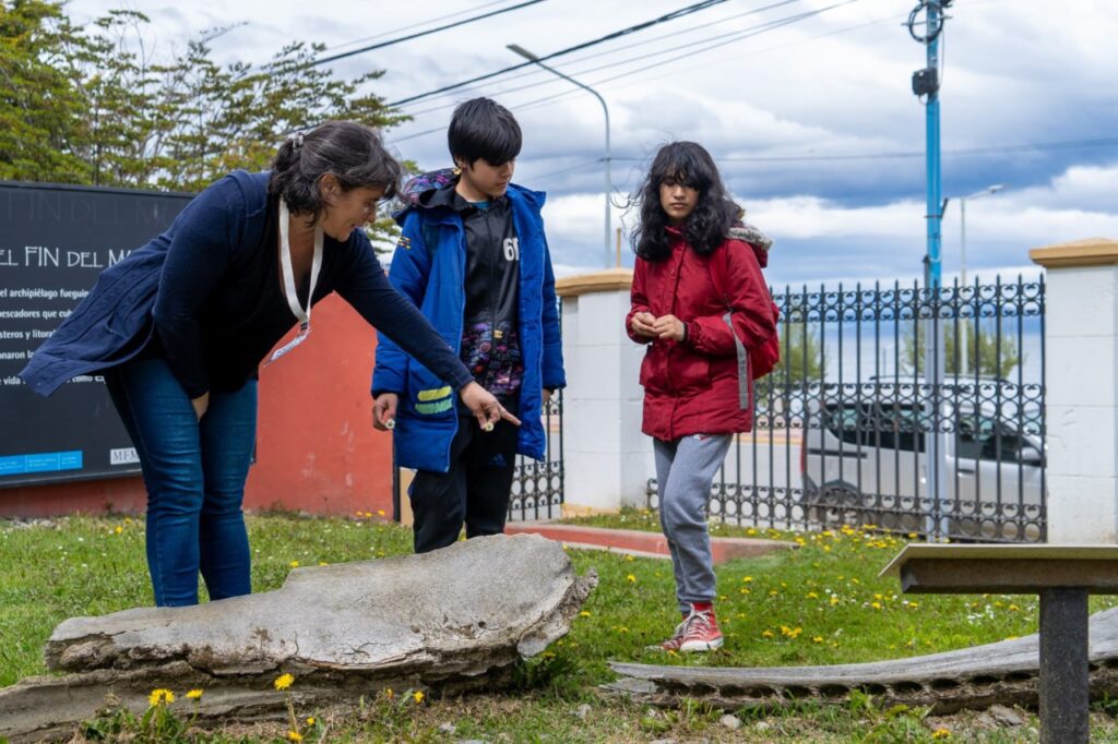 photo 2026 01 18 21 41 21