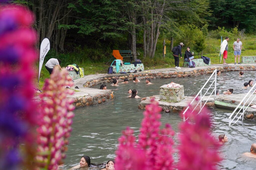 photo 2026 01 19 17 50 32