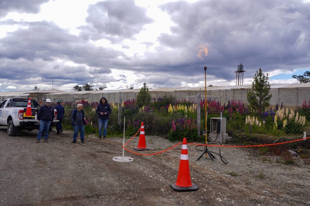 photo 2026 01 20 11 26 57