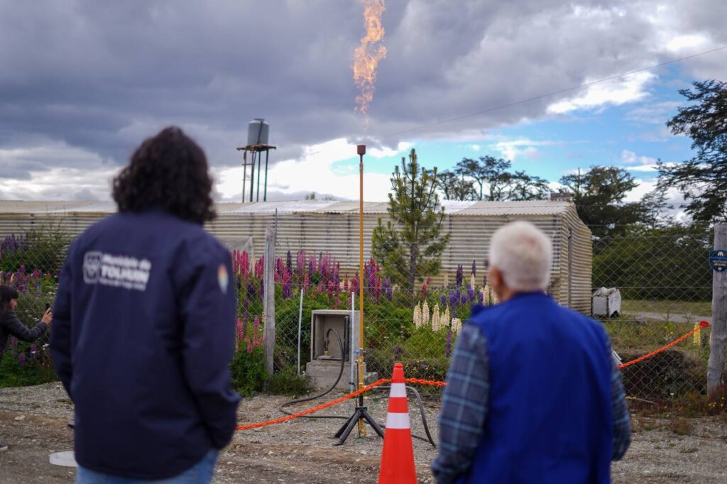 photo 2026 01 20 11 26 58