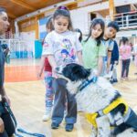 photo 2026 01 21 18 07 49