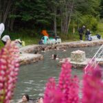 photo 2026 01 23 20 02 35