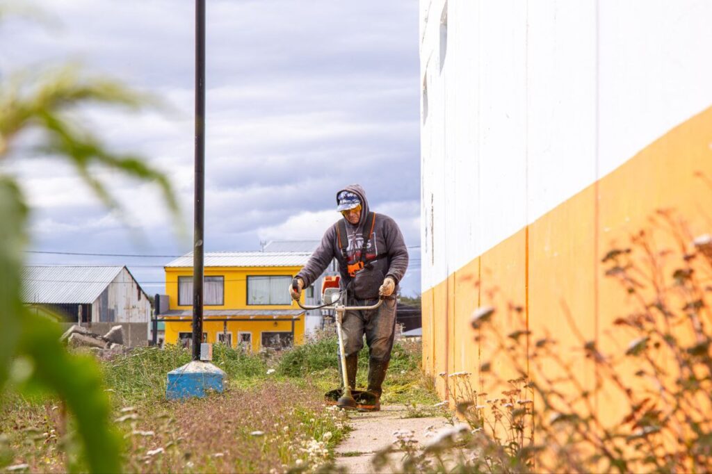 photo 2026 01 25 12 30 01 (2)