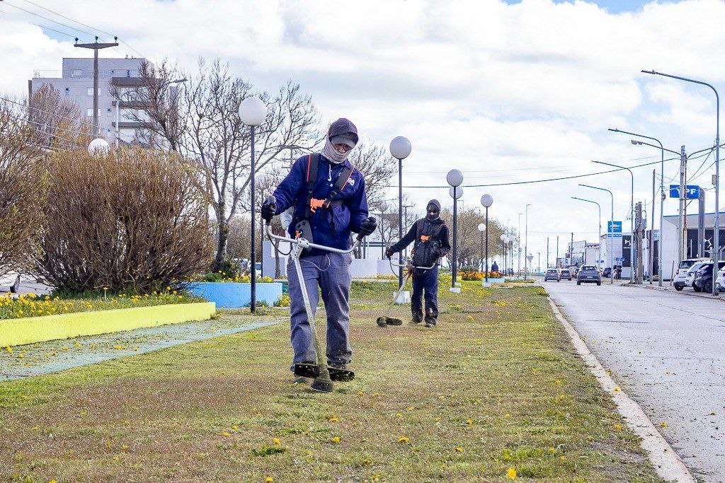 photo 2026 01 25 12 32 49