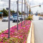 photo 2026 01 25 12 32 50