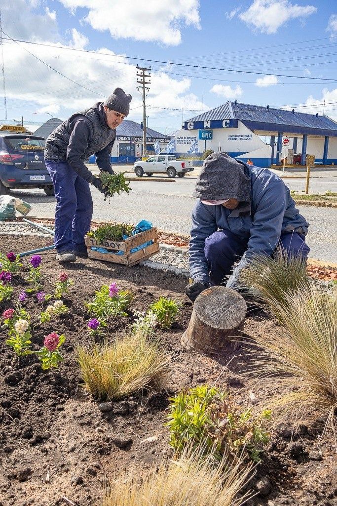 photo 2026 01 25 12 32 50 (2)