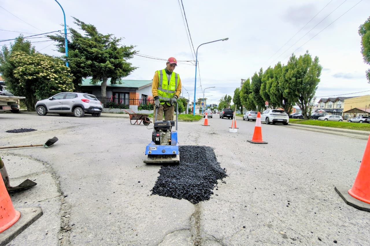 photo 2026 01 25 12 34 27