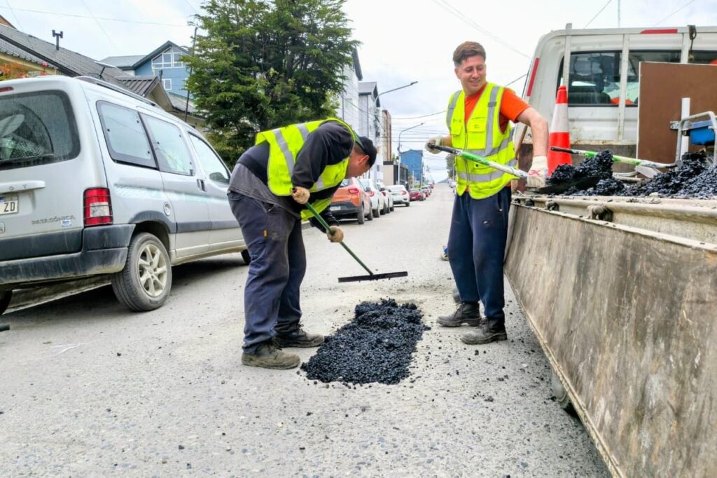 photo 2026 01 25 12 34 28 (2)