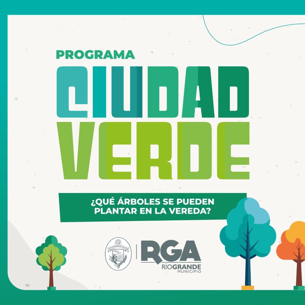 photo 2026 01 29 10 05 49