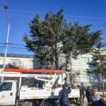 photo 2026 01 29 10 05 49 (2)