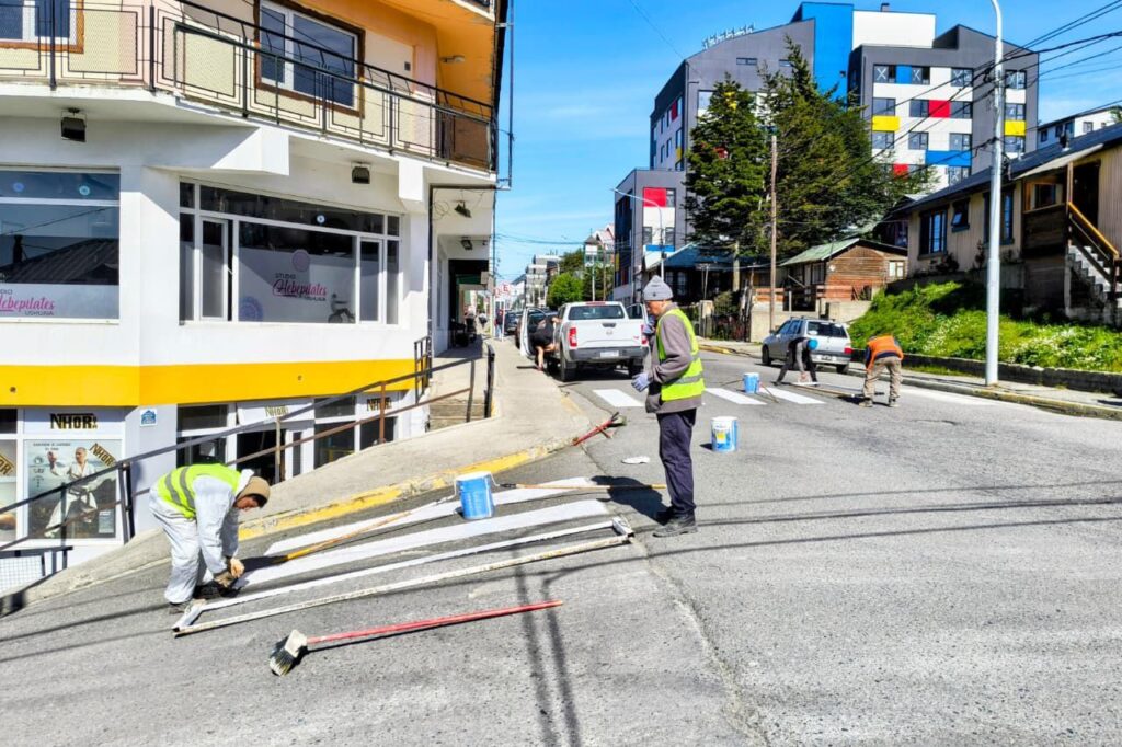 photo 2026 01 29 10 07 49 (2)