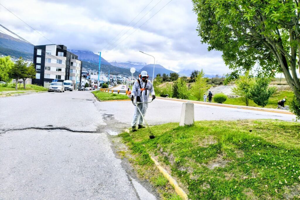 photo 2026 02 03 21 03 58