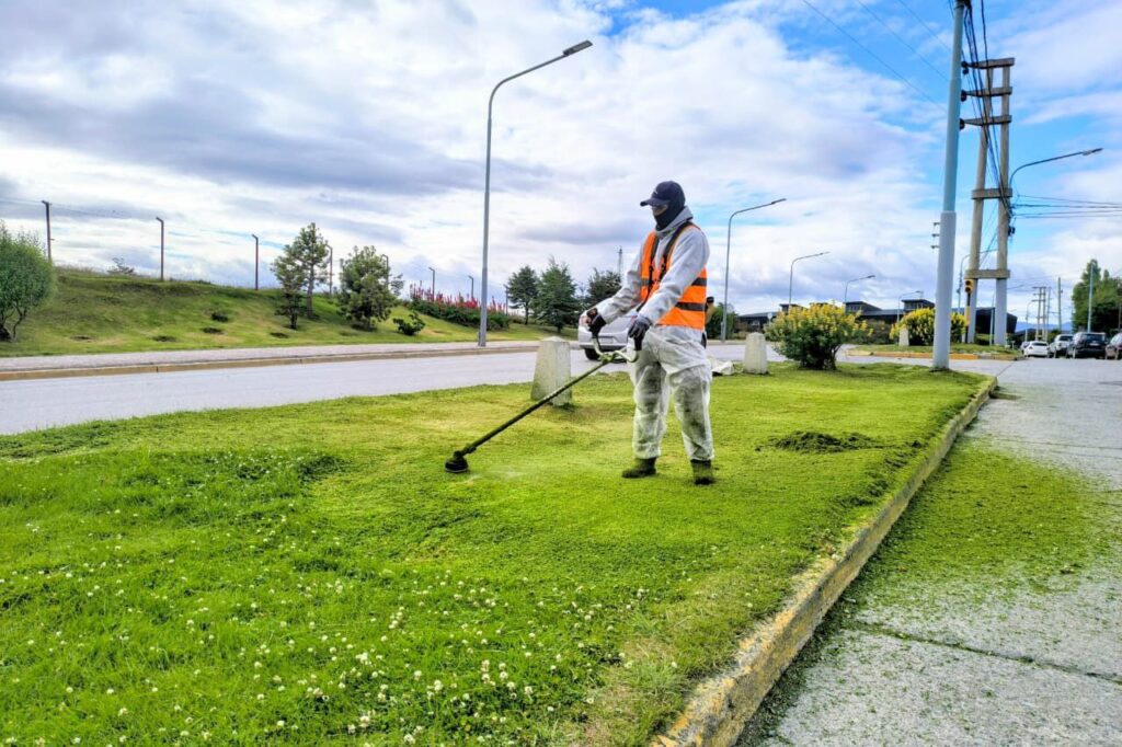 photo 2026 02 03 21 03 59