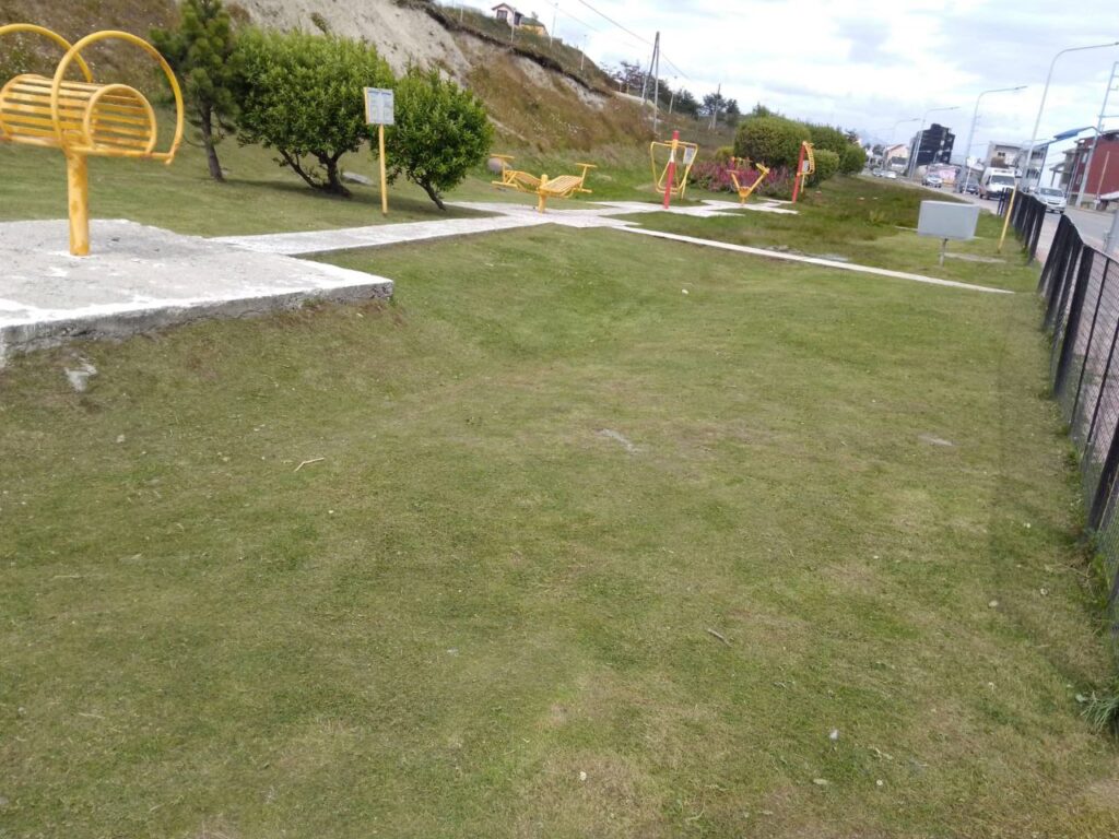 photo 2026 02 03 21 04 02