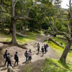 photo 2026 02 08 10 32 29