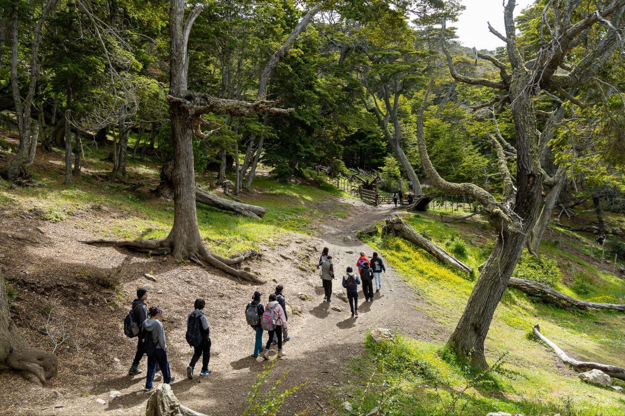 Recomendaciones para disfrutar de actividades al aire libre de manera segura y responsable con el ambiente