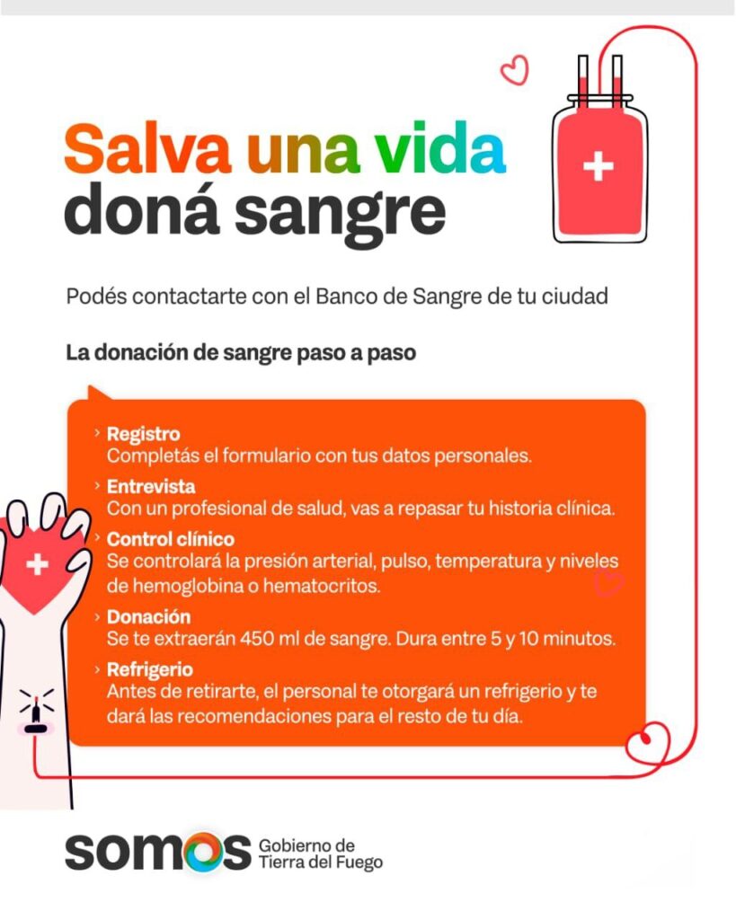 photo 2026 02 08 10 43 40