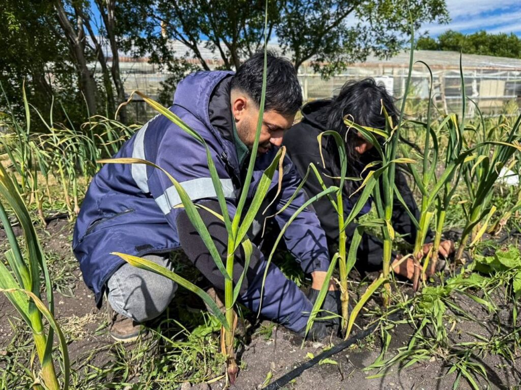 photo 2026 02 17 11 31 47