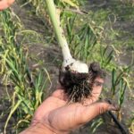 photo 2026 02 17 11 31 48